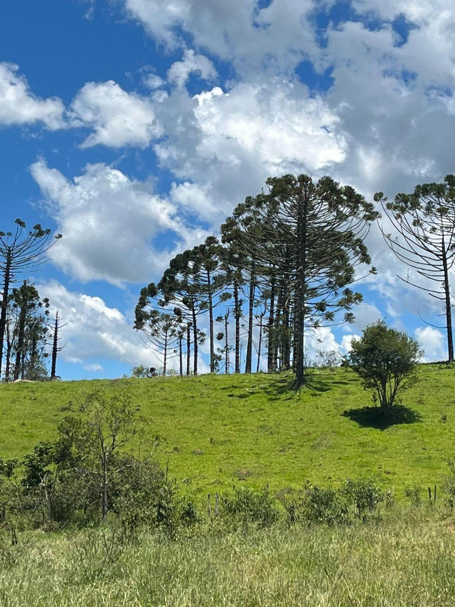 Chale Com Hidro Na Serra Da Mantiqueira * Sapucai-Mirim