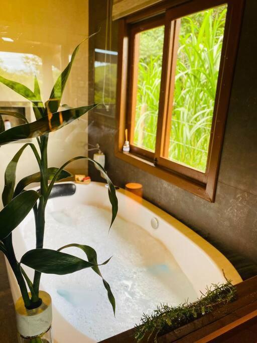 Chale Com Hidro Na Serra Da Mantiqueira Chalet Sapucai-Mirim